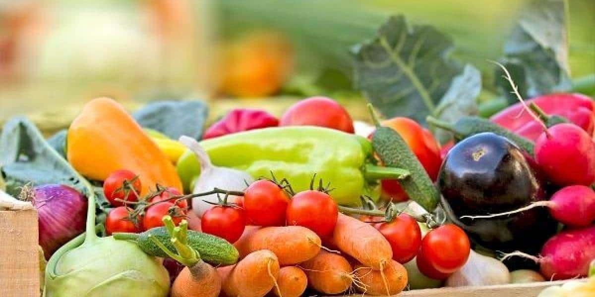 INNOVACIÓN AGROPECUARIA CLAVE PARA LA SEGURIDAD ALIMENTARIA