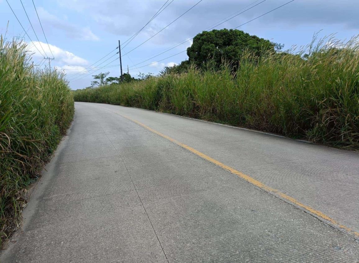 Maleza invade carretera Nanchital-Las Choapas; conductores esperan solución al problema