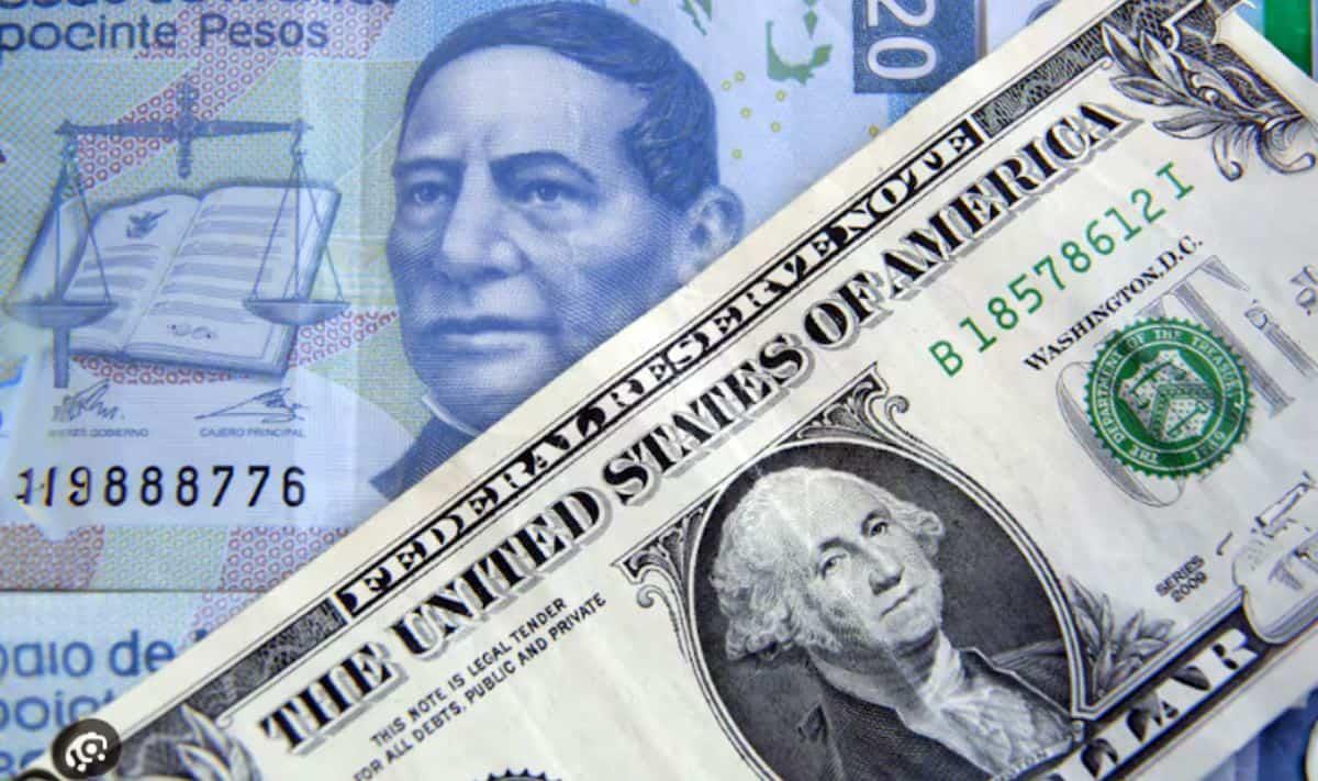 Así va el Dólar frente al peso mexicano HOY domingo 08 de diciembre