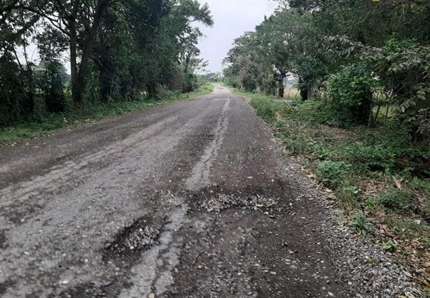 La Reforma, comunidad en Misantla bajo constante lucha por pésimas condiciones carreteras