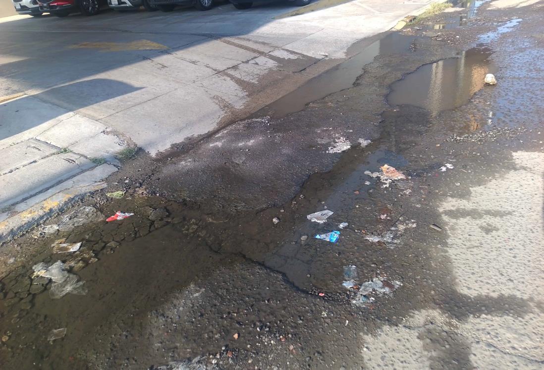 Advierten por baches en el fraccionamiento Costa Verde