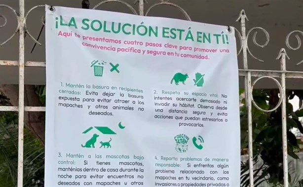 Avistan más animales silvestres en Poza Rica; piden no maltratarlos