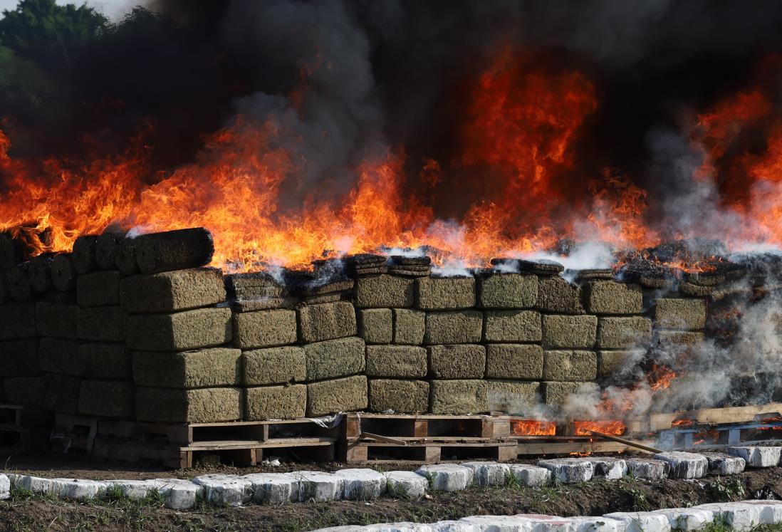 FGR y SEMAR incineran casi cinco toneladas de marihuana en Veracruz |VIDEO