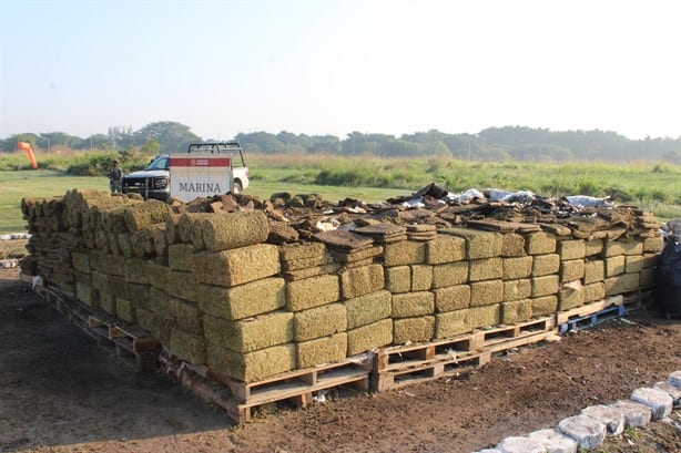 FGR y SEMAR incineran casi cinco toneladas de marihuana en Veracruz |VIDEO