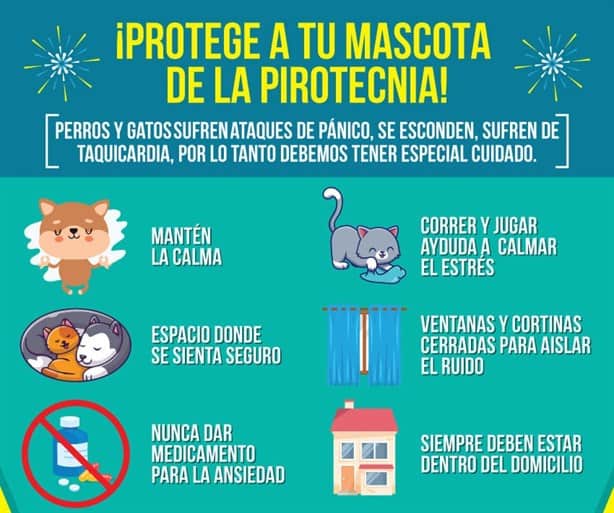 Cuidado con la pirotecnia: consejos para proteger a tus mascotas