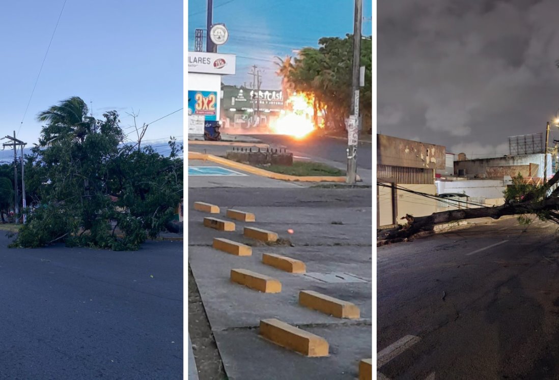 Árboles caídos y colonias sin luz, efectos del norte  violento en Veracruz