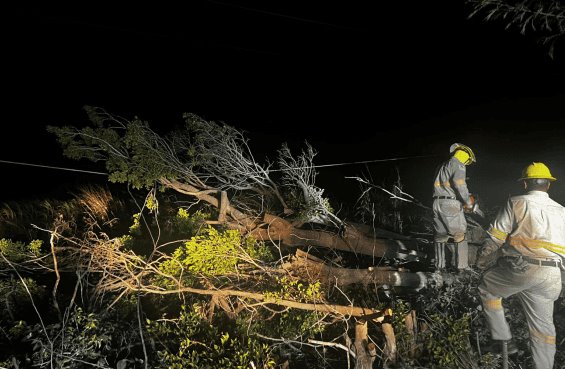 Restablecen la electricidad en el 91% de los hogares de Veracruz afectados por el norte