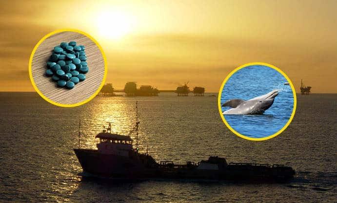 Fentanilo una amenaza para el Golfo de México, ¿contaminó a más especies marinas?