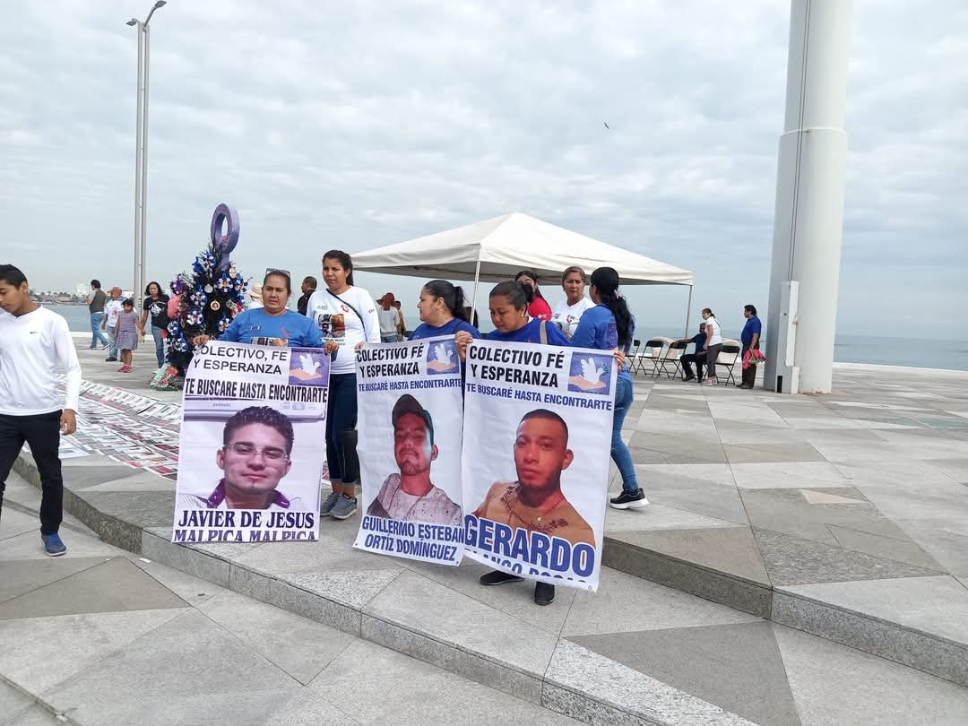 Colectivo Justicia y Dignidad colocará el Árbol de la Ausencia en Veracruz