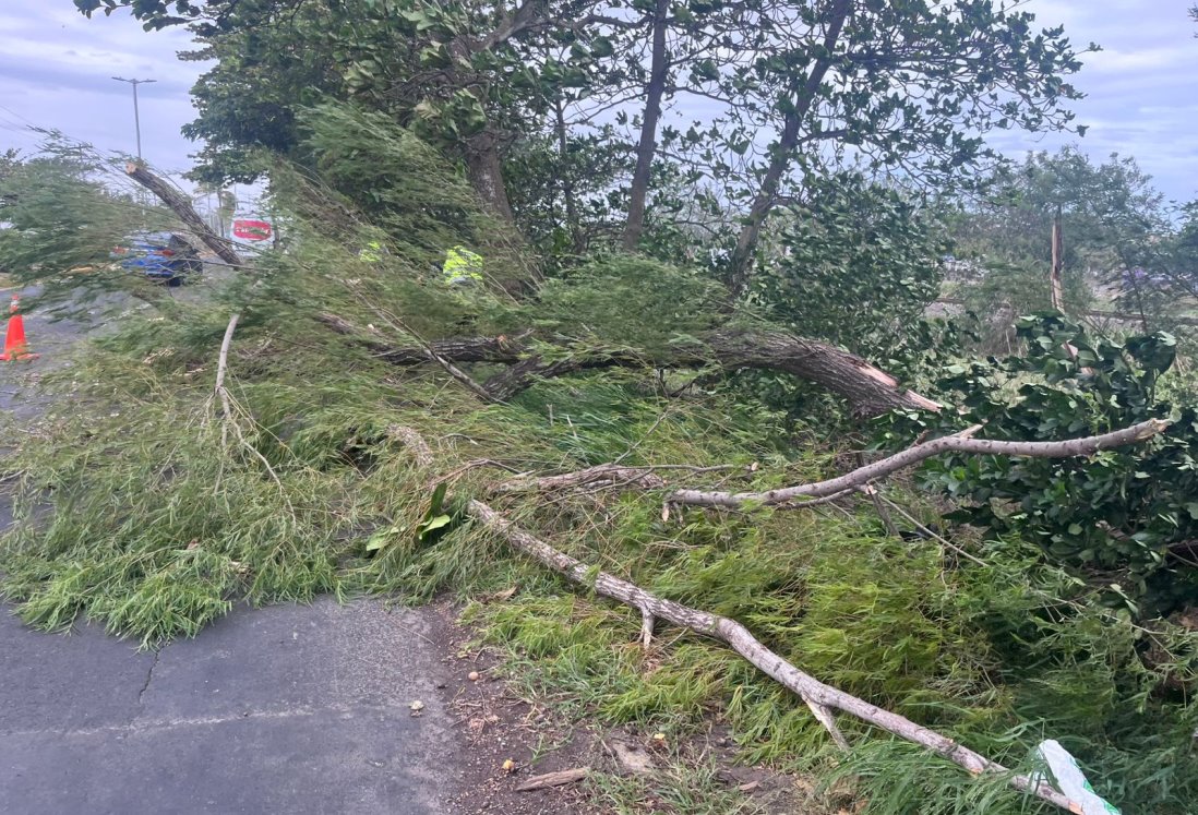 Frente Frío 14 deja estragos en Veracruz con vientos de más de 100 km/h