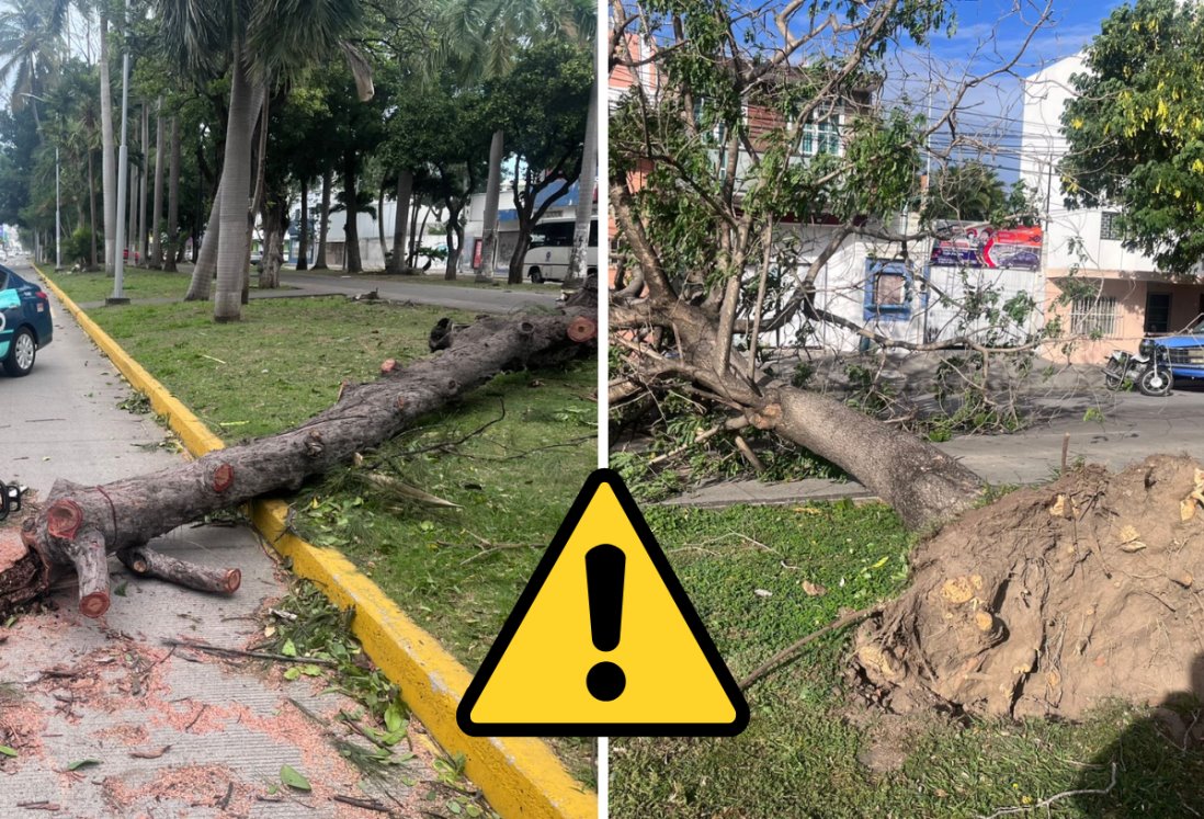 Frente Frío 14 provoca estragos en Veracruz y Boca del Río