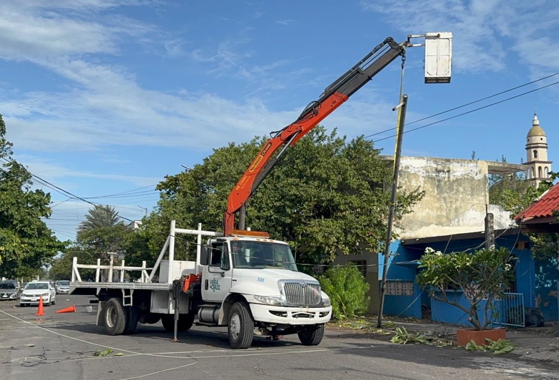 Alertan sobre riesgos de ramas sin podar y sobrecarga eléctrica por norte en Veracruz