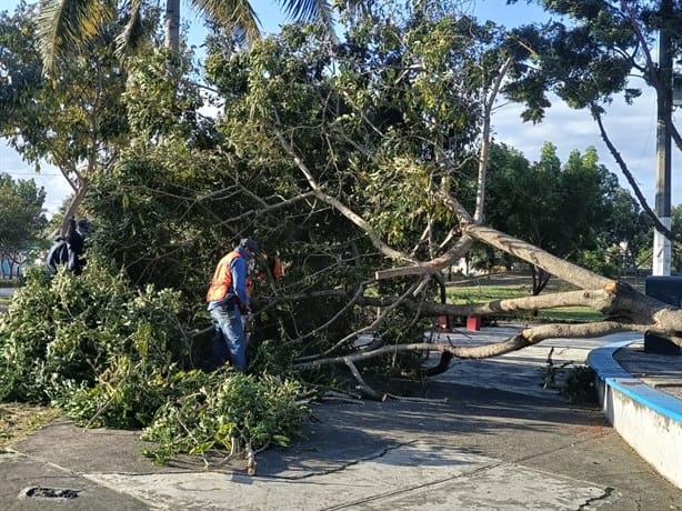 Ayuntamiento atiende daños provocados por el norte en Veracruz