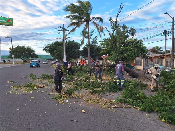 Ayuntamiento atiende daños provocados por el norte en Veracruz