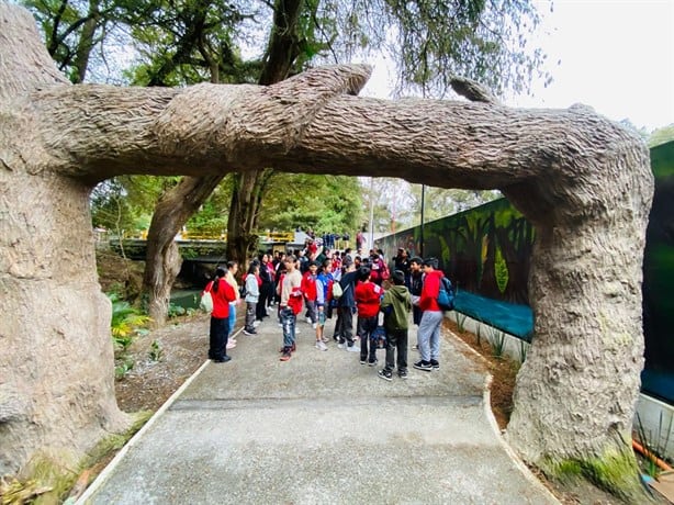 ¿Ya lo visitaste? Paseo de los Ahuehuetes crece como atractivo turístico de Mendoza y la región: alcalde