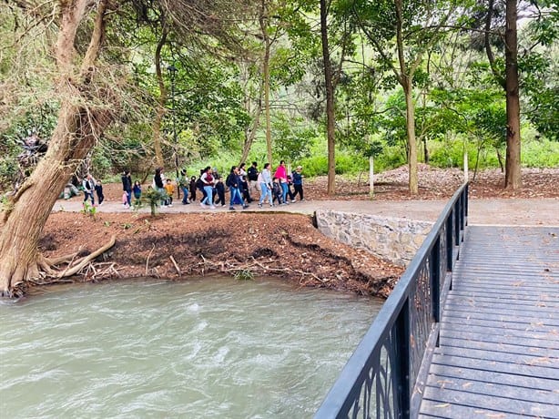 ¿Ya lo visitaste? Paseo de los Ahuehuetes crece como atractivo turístico de Mendoza y la región: alcalde