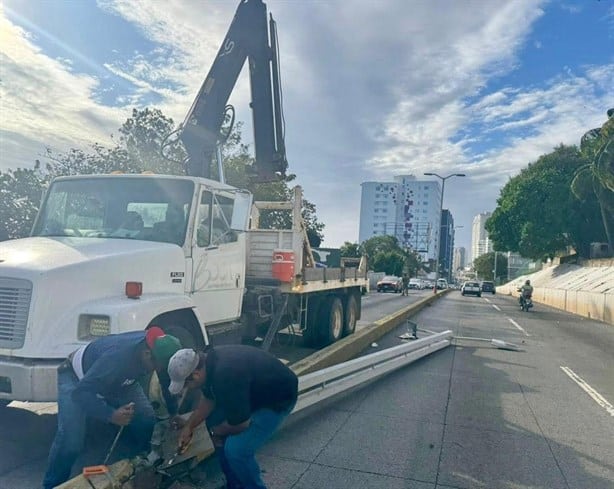 Norte derribó 25 árboles solo en Boca del Río