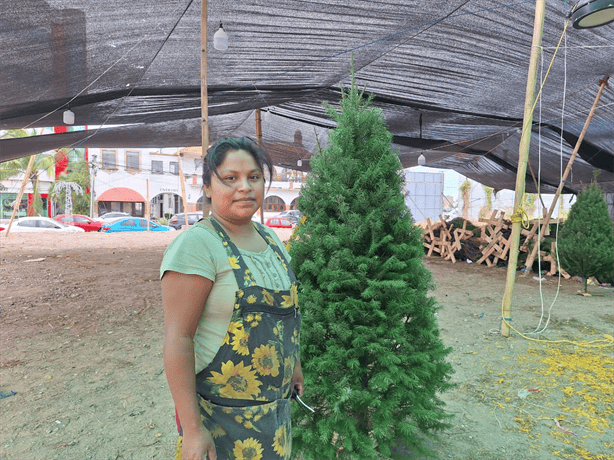 Norte en Veracruz destruyó 30 pinos de Navidad, lamenta comerciante