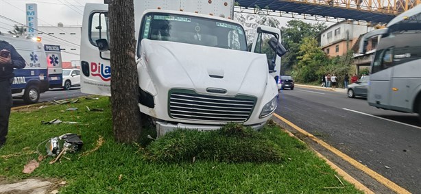 Camión termina contra un árbol en Las Trancas; hay dos heridos