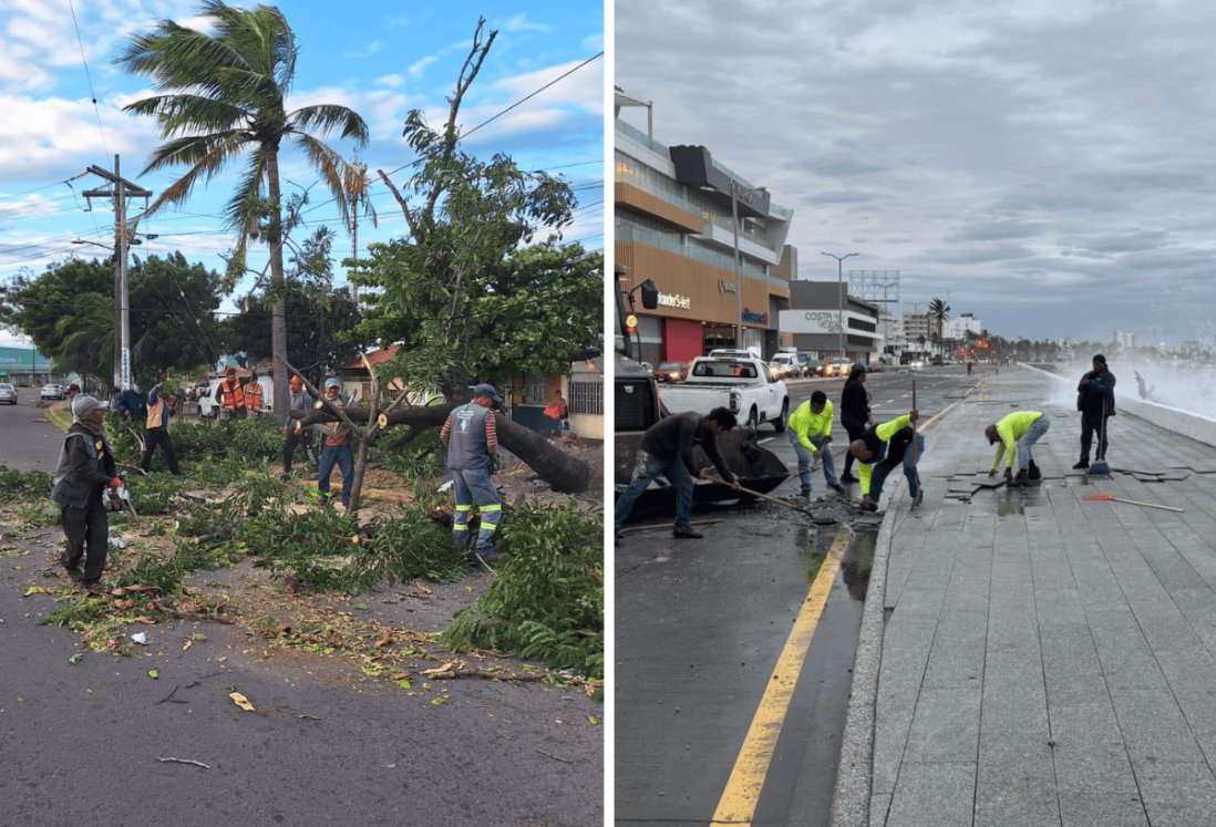 Inicia limpieza de calles en Veracruz y Boca del Río tras afectaciones por vientos del norte