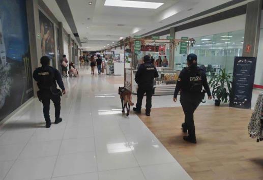 Más de 4 mil elementos participan en el Operativo Navideño en Veracruz