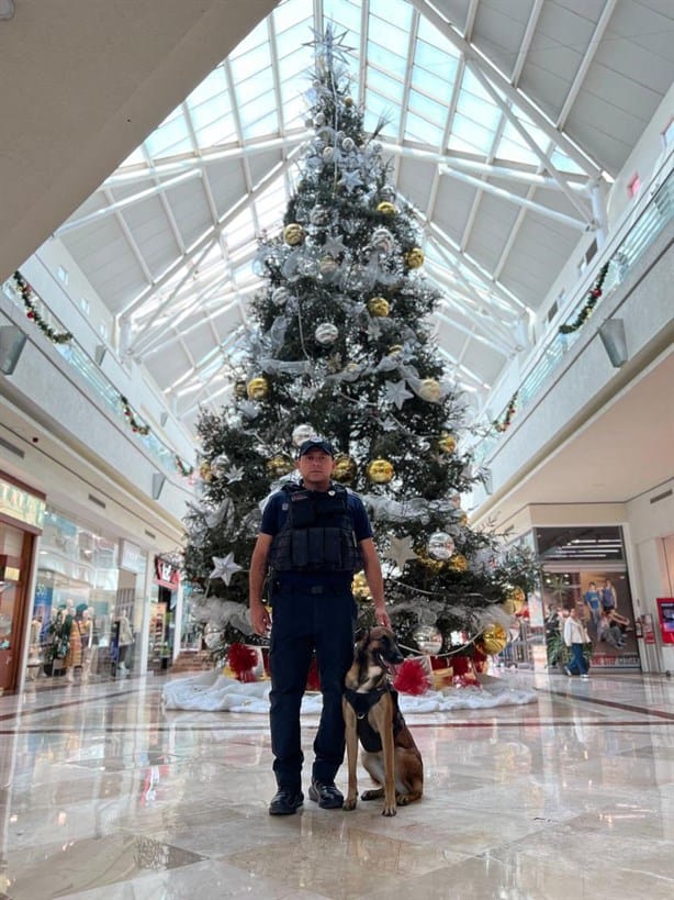 Más de 4 mil elementos participan en el Operativo Navideño en Veracruz