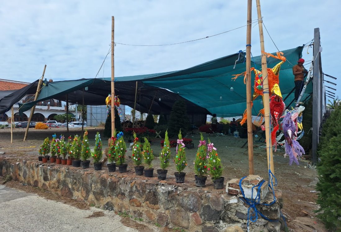Norte en Veracruz destruyó 30 pinos de Navidad, lamenta comerciante