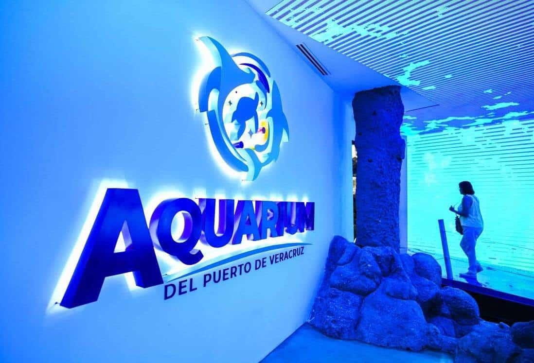 Aquarium de Veracruz prevé recibir más de 88 mil visitantes durante diciembre 2024