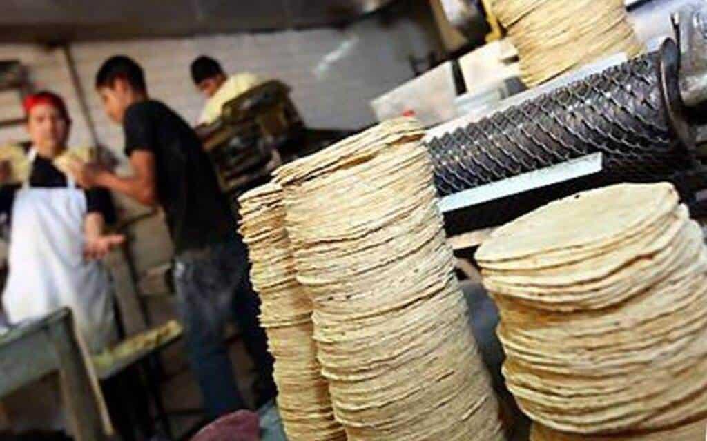 ¿La tortilla subirá de precio en Navidad y Fin de Año?, Profeco anuncia operativo