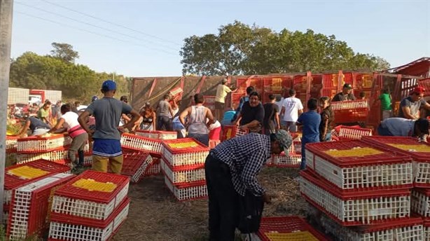 ¡Ya salió para la cena de Navidad! Vuelca camión cargado con pollos en Veracruz