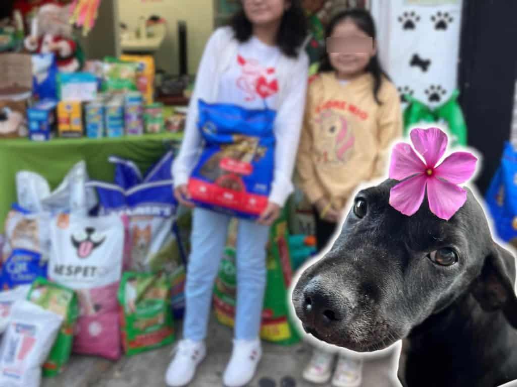 Realizarán “Croquetón Navideño” en Minatitlán; ¿hasta cuándo y qué puedes donar?