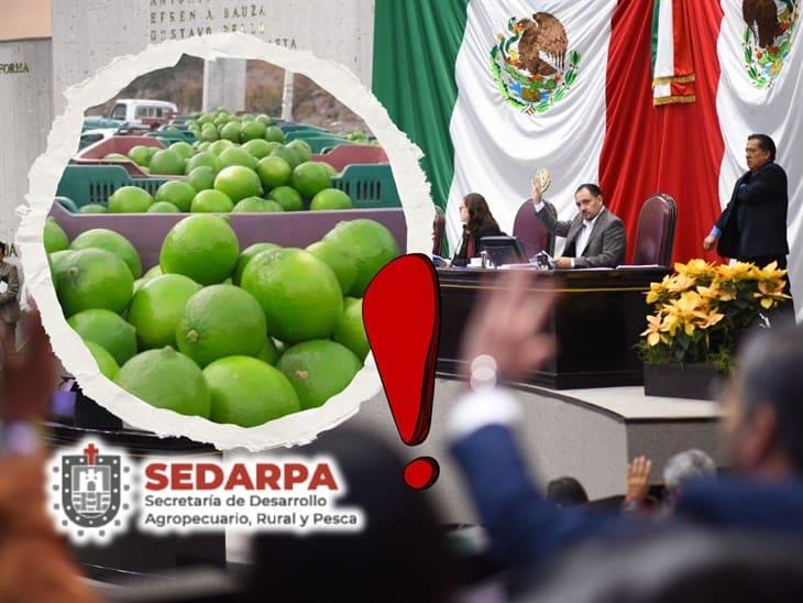 Congreso de Veracruz pide a SEDARPA oficina especial para atender a citricultores