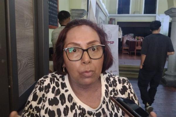 No hay acciones reales para creación de refugio para mujeres violentadas en Orizaba: Marea Verde