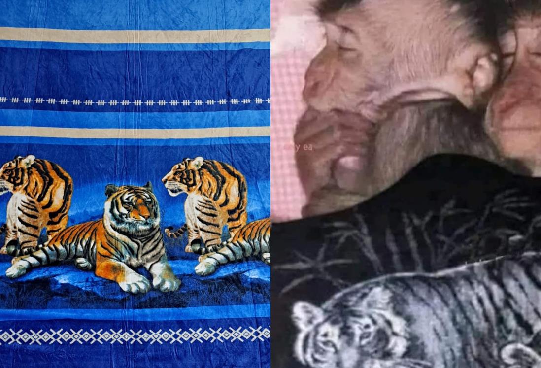 ¿Tienes frío? este es el origen de la famosa "cobija del tigre" San Marcos