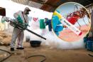 Dengue avanza en Veracruz y desafía al sistema de salud