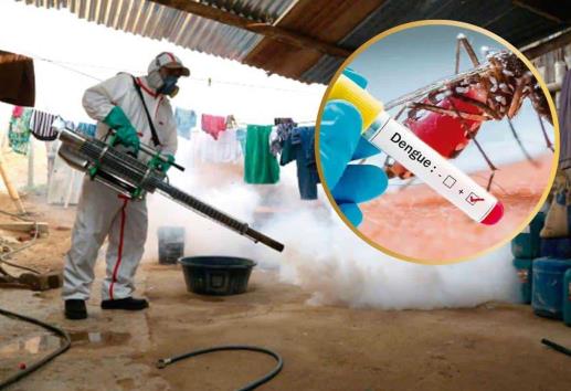Dengue avanza en Veracruz y desafía al sistema de salud
