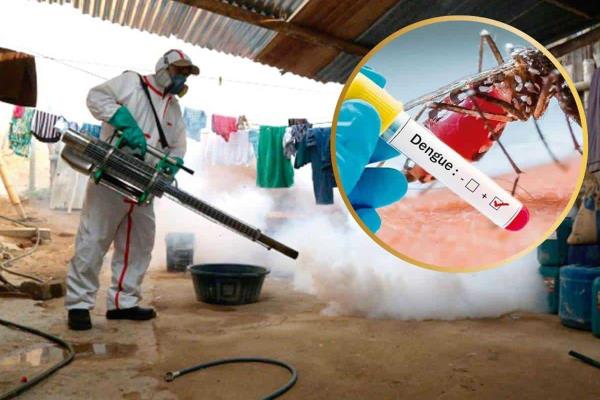 Dengue avanza en Veracruz y desafía al sistema de salud
