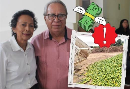 San Rafael llega a fin de año con crisis entre productores de limón: alcalde