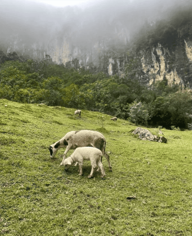 ¿Ya lo conoces?; este destino es la Suiza veracruzana en Alpatláhuac