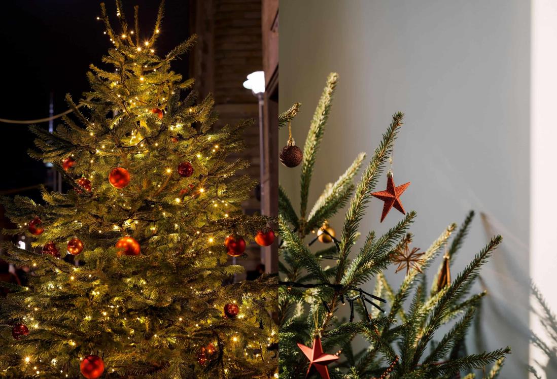 ¿Te quedaste sin presupuesto? 3 ideas para hacer un árbol de Navidad | VIDEOS