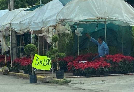 Reportan caída en venta de flores hasta en un 80 por ciento en Minatitlán