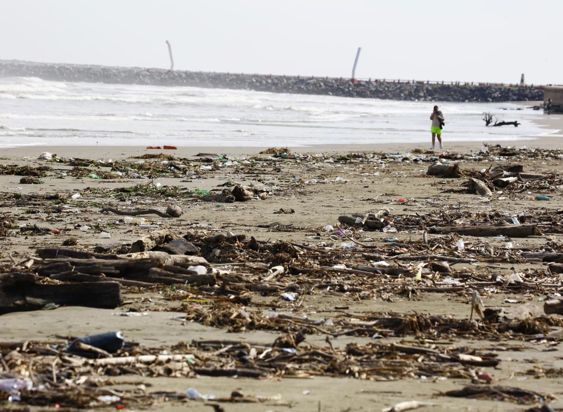 Cofepris alerta sobre las playas más sucias de México ¿está alguna veracruzana?