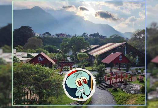 Jardín Botánico BiOri: un paraíso natural en Orizaba