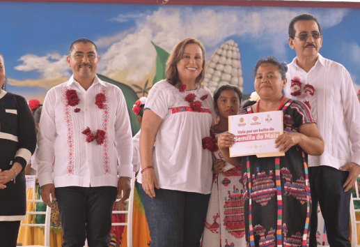 Sedarpa inicia programa de siembra de maíz en Veracruz