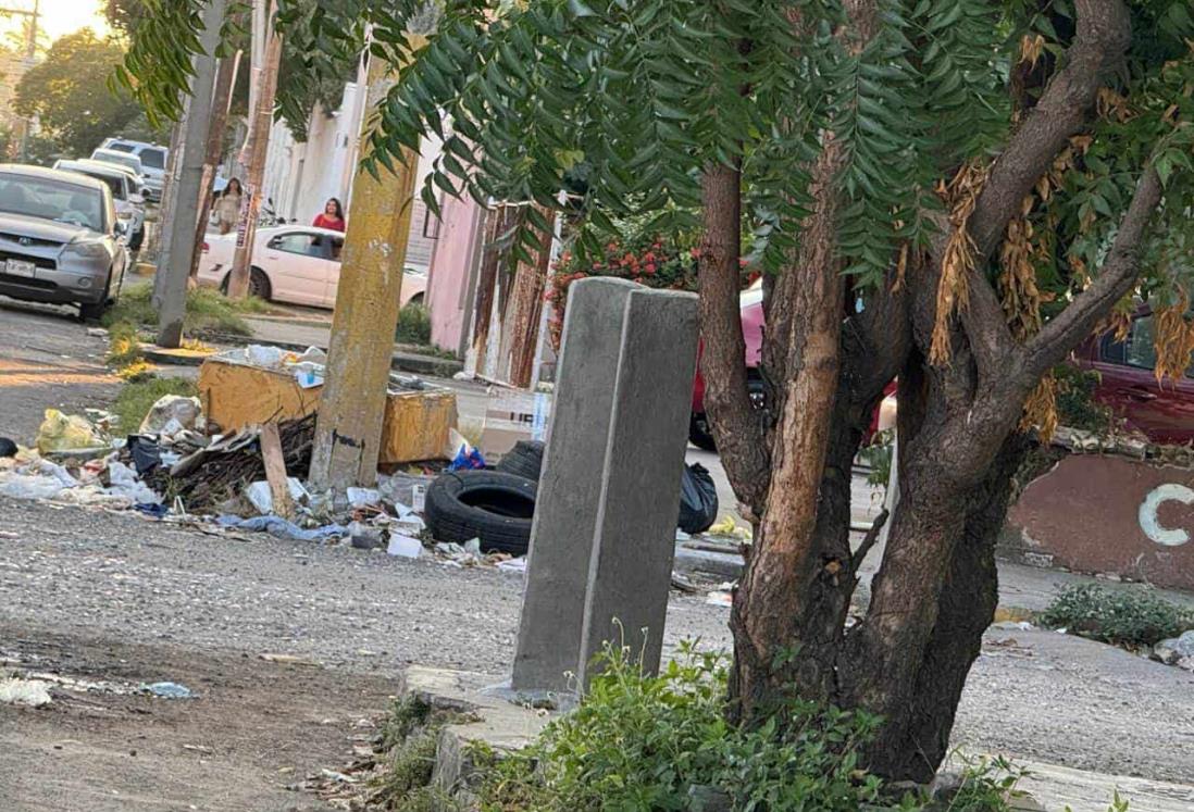 Denuncian que calle de colonia México en Veracruz parece un basurero