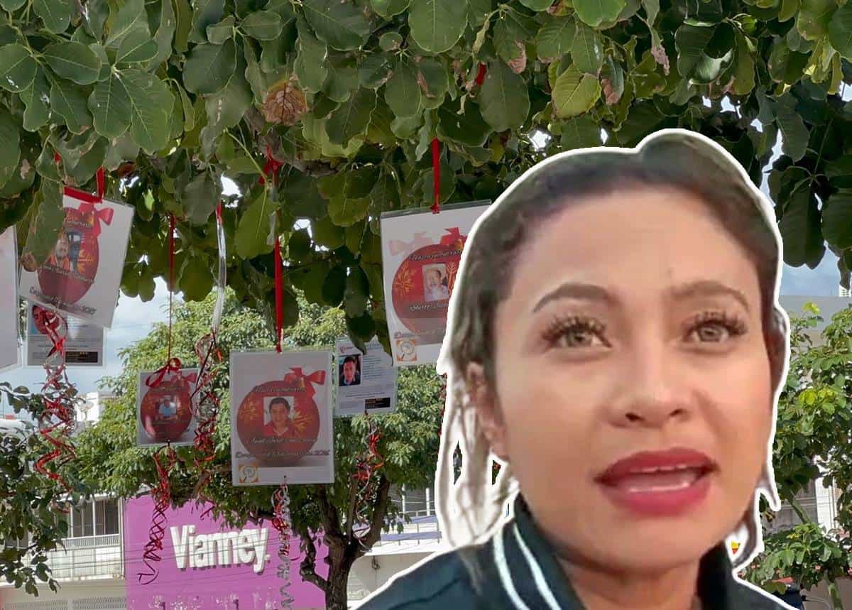 Colectivo instala en Coatzacoalcos el “Árbol de la esperanza”, con fichas de desaparecidos | VIDEO