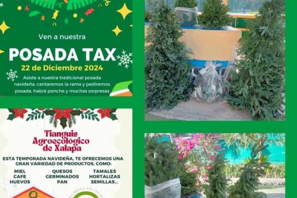 Atención, este domingo posada y tianguis agroecológico en Xalapa