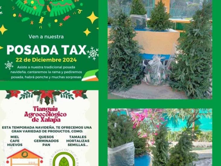 Atención, este domingo posada y tianguis agroecológico en Xalapa