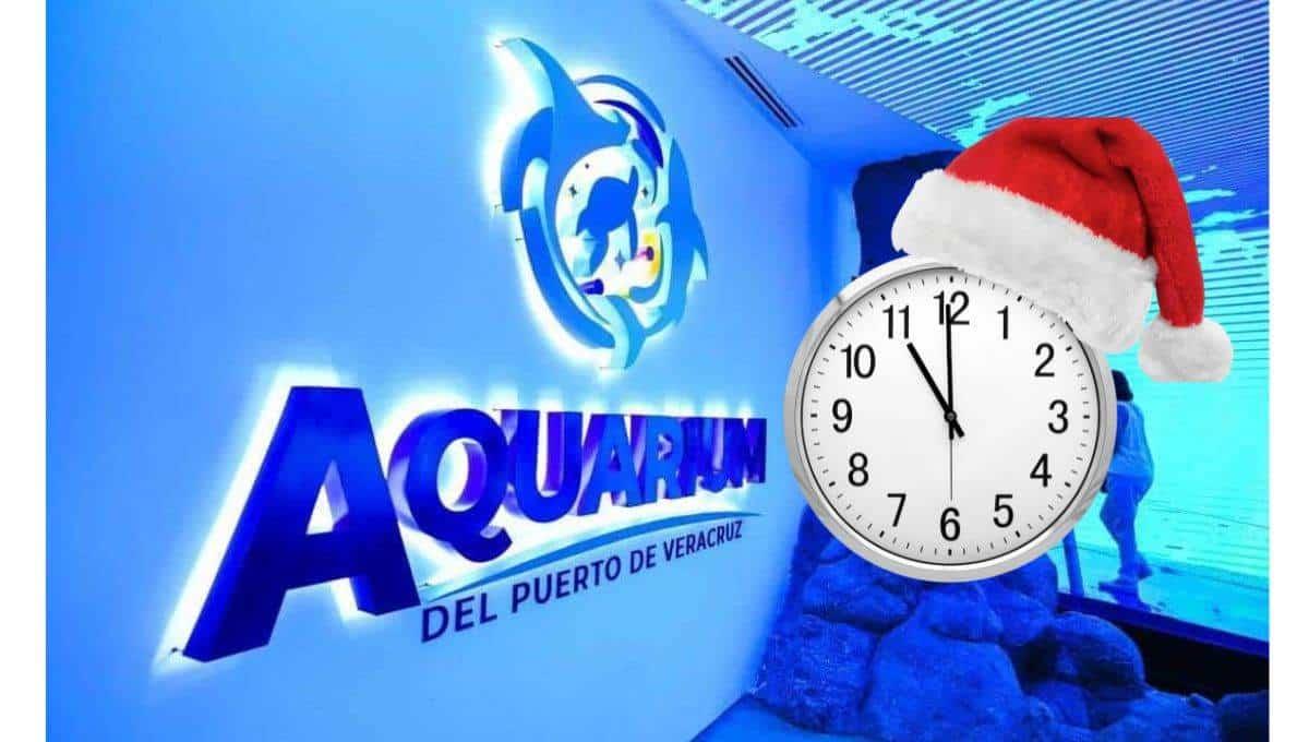 Aquarium de Veracruz: Estos son los horarios por temporada navideña