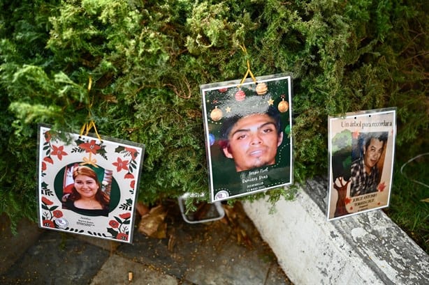 Colectivo de búsqueda coloca "árbol de la ausencia" en el parque Ciriaco Vázquez